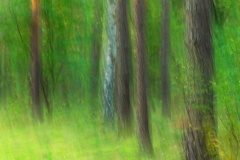 Gemalt