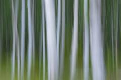 IMG_9803