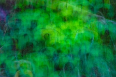 Klee